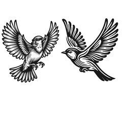 Retro Drongo Bird Silhouettes, Vintage Vector Drongo Illustration, Classic Drongo Silhouettes, intage Drongo Silhouette Art, Black and White Drongo Illustration, Vintage Drongo Silhouette Art