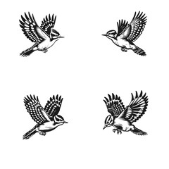 Retro Drongo Bird Silhouettes, Vintage Vector Drongo Illustration, Classic Drongo Silhouettes, intage Drongo Silhouette Art, Black and White Drongo Illustration, Vintage Drongo Silhouette Art