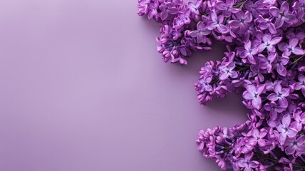 Bunch of purple lilacs on background