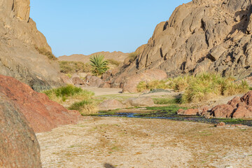 A small stream at the bottom of rocky mountains with bushes and rocks, red colored granite rocks, a palm tree and a blue sky. Surface level view with reflective flowing water in an arid desert land.