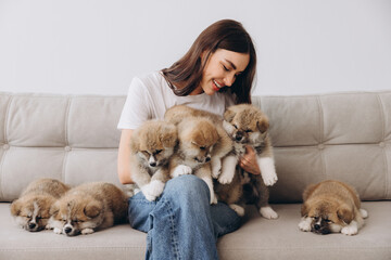 Portrait of happy smiling millennial woman hugging and playing group Akita Inu puppies on sofa at...