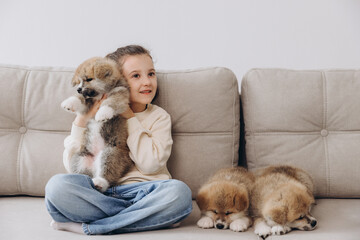 Little happy smiling girl playing and hugging Akita Inu puppies at home on sofa