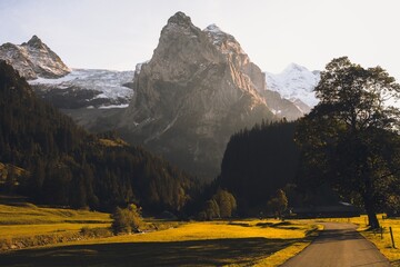 Grosse Scheidegg Pass, UNESCO World Heritage Site