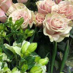 bouquet of roses