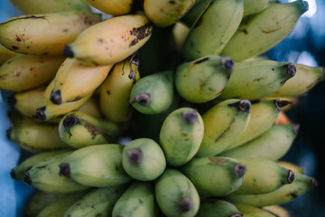 ripe bananas displayed on a pole, highlighting freshness and tropical produce in a vibrant market setting.