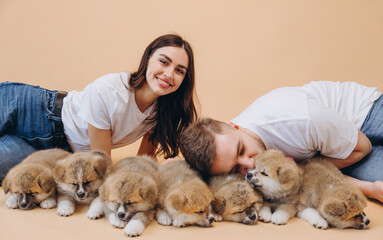 Happy beautiful couple in love or dog shelter volunteers caring and playing with little funny Akita Inu puppies on beige background, world animal day