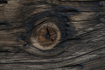 railroad tie knot macro photography resembles eye for rustic background