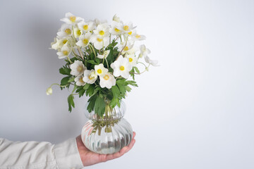 Man holding white anemone in his hands. Beautiful spring flowers. The florist man gathered a bouquet. Blossom petal. Gift for the holiday, celebration of the spring mood. Romantic surprise