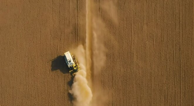 Aerial View of Eco-Friendly Agriculture: Combine Harvester Harvesting Soybeans from Above