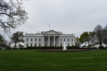 Naklejka premium the white house
