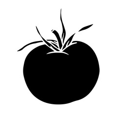 Silhouette, doodle of tomato vegetable. Vector graphics.