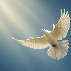 Majestic White Dove Flying Gracefully Against a Sunlit Sky