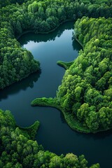Fototapeta na wymiar Behold the serene majesty of abstract water landscapes, where tranquil lakes and meandering rivers weave through lush greenery