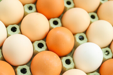 Chicken eggs in a cardboard box