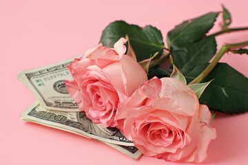 Romantic Roses with American Dollars Conceptualizing Financial Investment in Relationships and Love