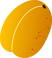 Whole apricot fresh organic fruit