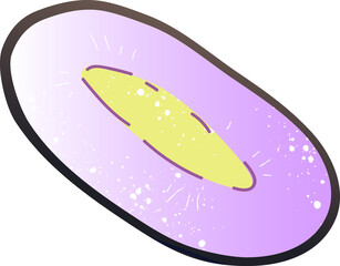 Piece jambolan fresh organic fruit