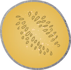 Piece musk melon fresh fruit