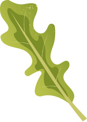 Naklejka premium Arugula green healthy organic food