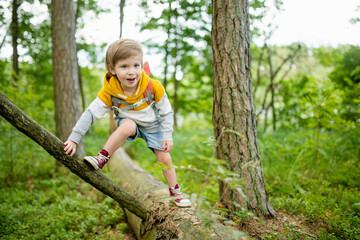 Naklejka na ściany i meble Cute little boy with a backpack having fun outdoors on sunny summer day. Child exploring nature. Kid going on a trip.