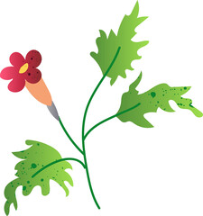 Devils claw green healthy food