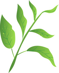 Green tea green healthy food