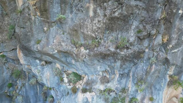 king, tomb, anatolia, fethiye, rock, antalya, drone, aerial view, forest, tree, footage, natural, landscape, travel, arch, turkey, building, city, pinara, lycian, roman, ruins, beydag, background, mus
