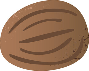 Whole nutmeg fresh organic nut