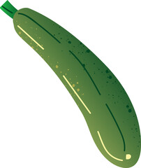 Whole zucchini organic fresh vegetables