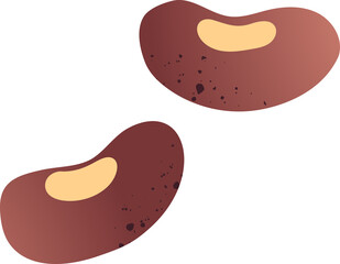 Whole red beans organic vegetables