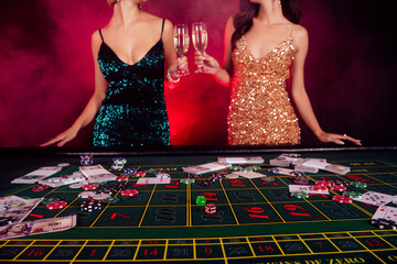 Cropped photo of two girls professional poker players celebrate fortune winning million dollars...