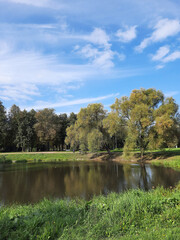 Obraz premium lake and trees