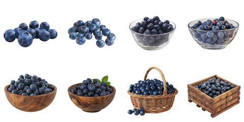 Blueberry transparent collection set in png no background for decoration.