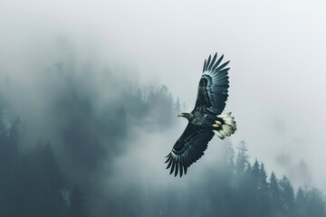 A bald eagle soars majestically through the crisp mountain air.