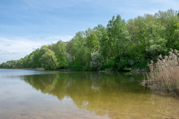Lake Rogoźnik on a sunny spring day
