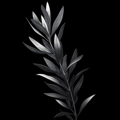 Intricate Leaves in Black and White: An Artistic Silhouette to Enhance Any Design