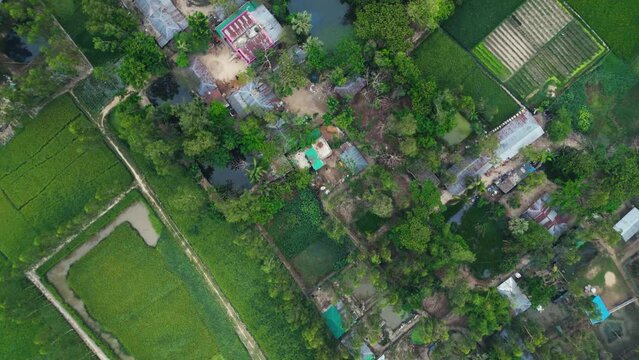 Aerial view of asian green village with a concreate road