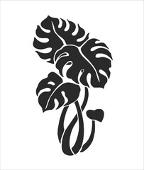 Vector hand-drawn illustration of a tropical plant isolated on a white background. A stamp with a floral element of South American nature. A sketch of the Monstera.