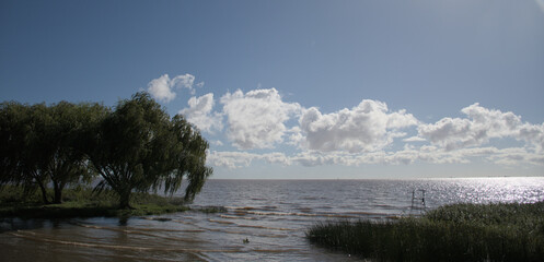 Playa de rio con vegetación