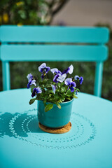 vase with pansy above a table on the sunny veranda