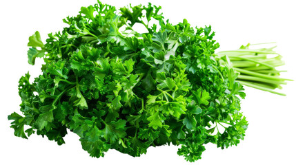 Obraz premium Fresh parsley herb