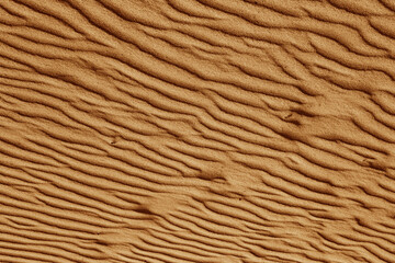 sand dune texture dune desert sand texture background	