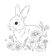 Hand Drawn Cute Bunny and wild flowers vector, design rabbit, kids print