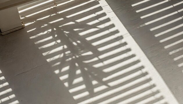 shadow from window blinds overlay effect realistic gray shadow on transparent background png applicable for product presentation photos backdrop sun light rays 3d render