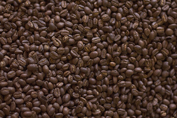 Coffee beans on a roaster