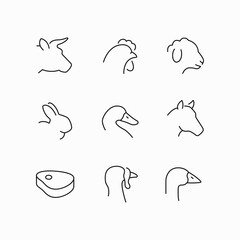 meat beef cow chicken sheep rabbit duck turkey icon