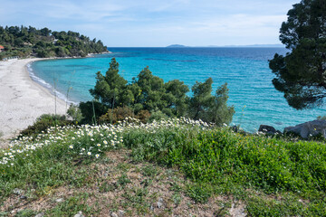 Sithonia coastline near Koviou Beach, Chalkidiki, Greece
