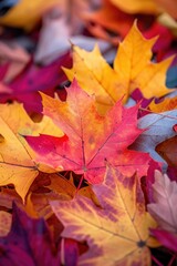Fototapeta premium Maple leaves on vibrant backdrop 🍁🌈 Nature's beauty in vivid hues #ColorfulAutumn