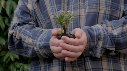Boy planting a new tree, concept Save the Earth, save the world, save planet, ecology concept.photo