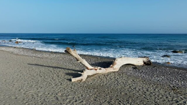 Abandoned Tree Trunk On The Beach Near The Sea